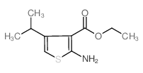 Ethyl 2-amino-4-isopropylthiophene-3-carboxylate