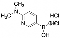 2-(Dimethylamino)-5-pyridinyl boronic Acid hydrochloride