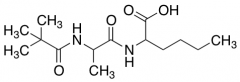 2-[2-(2,2-dimethylpropanamido)propanamido]hexanoic acid