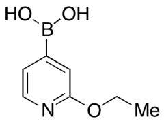 2-Ethoxypyridin-4-ylboronic Acid