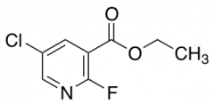 Ethyl 5-Chloro-2-fluoronicotinate