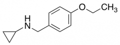 N-(4-Ethoxybenzyl)cyclopropanamine Hydrochloride