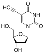 5-Ethynyl-2&rsquo;-deoxyuridine