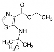Ethyl 5-(Tert-Butylamino)Thiazole-4-Carboxylate
