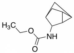 Ethyl 3-Norticyclylcarbamate