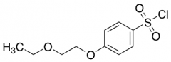 4-(2-Ethoxyethoxy)Benzene-1-Sulfonyl Chloride