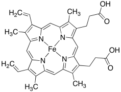 Ferroprotoporphyrin IX