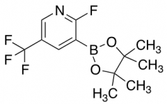 2-Fluoro-5-(trifluoromethyl)pyridine-3-boronic Acid Pinacol Ester
