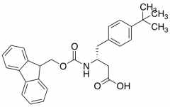 Fmoc-(R)-3-Amino-4-(4-tertbutylphenyl)butyric Acid