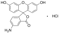 Fluoresceinamine Hydrochloride Isomer 1