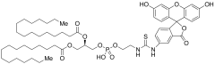 Fluorescein-Dipalmitoylphosphatidylethanolamine