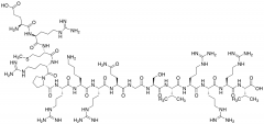 H-Glu-Arg-Met-Arg-Pro-Arg-Lys-Arg-Gln-Gly-Ser-Val-Arg-Arg-Arg-Val-OH