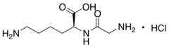 H-Gly-Lys-Oh-Hydrochloric Acid Salt