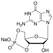 Guanosine 3&rsquo;,5&rsquo;-Cyclic Monophosphate Sodium Salt