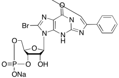 8-Br-PET-cGMP Sodium Salt