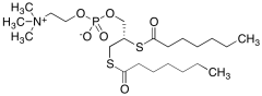 1,2-bis(Heptanoylthio)glycerophosphocholine (in Ethanol) (~90%)