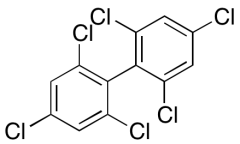 2,2',4,4',6,6'-Hexachlorobiphenyl