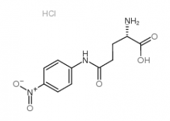 L-Glutamic acid gamma-(p-nitroanilide) hydrochloride