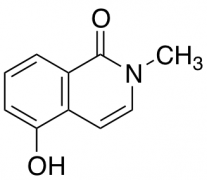 5-hydroxy-2-methylisoquinolin-1(2H)-one