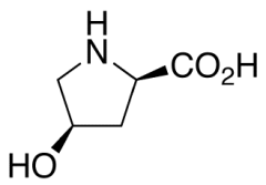 cis-4-Hydroxy-D-proline