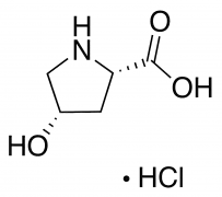 cis-4-Hydroxy-L-proline Hydrochloride