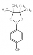 4-Hydroxyphenylboronic acid, pinacol ester