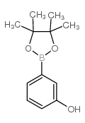 3-Hydroxyphenylboronic acid, pinacol ester