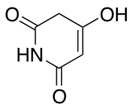 4-hydroxy-1,2,3,6-tetrahydropyridine-2,6-dione