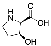 (2R,3S)-3-Hydroxypyrrolidine-2-carboxylic Acid