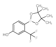 4-Hydroxy-2-(trifluoromethyl)phenylboronic Acid Pinacol Ester