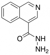 isoquinoline-4-carbohydrazide