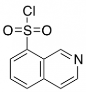 Isoquinoline-8-sulfonyl Chloride