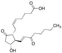15-Keto Prostaglandin E2