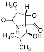 clasto-Lactacystin beta-lactone
