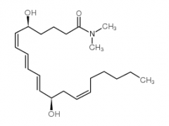 Leukotriene B4-dimethyl Amide