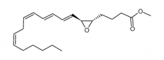 LTA4 (Leukotriene A4 methyl ester)