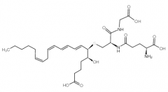 LTC4 (Leukotriene C4)