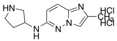 N-{2-Methylimidazo[1,2-b]pyridazin-6-yl}pyrrolidin-3-amine Dihydrochloride