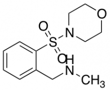 N-Methyl-2-(morpholinosulfonyl)benzylamine