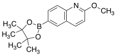 4-Methyl-3-nitroquinoline-6-boronic Acid Pinacol Ester