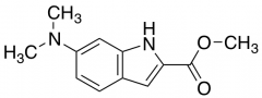 Methyl 6-(Dimethylamino)-1H-indole-2-carboxylate