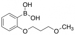 2-(3-Methoxypropoxy)phenylboronic Acid