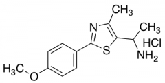 1-[2-(4-methoxyphenyl)-4-methyl-1,3-thiazol-5-yl]ethan-1-amine hydrochloride