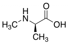 N-Methyl-D-alanine