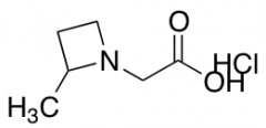 2-(2-methylazetidin-1-yl)acetic acid hydrochloride