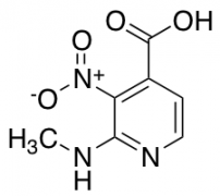 2-(methylamino)-3-nitropyridine-4-carboxylic Acid