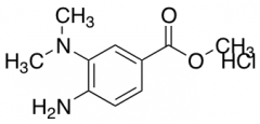 Methyl 4-Amino-3-(dimethylamino)benzoate Hydrochloride