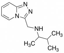 (3-Methylbutan-2-yl)({[1,2,4]triazolo[4,3-a]pyridin-3-ylmethyl})amine