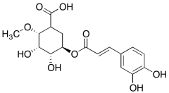 1-O-Methyl Chlorogenic Acid
