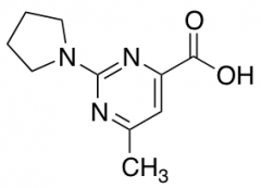 6-Methyl-2-(pyrrolidin-1-yl)pyrimidine-4-carboxylic Acid